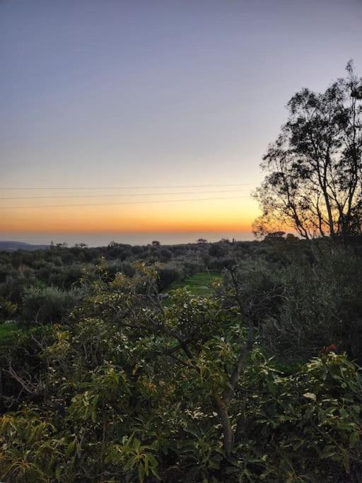 אראופוליס Terra E Pietre Εξοχική Κατοικία Με Πισίνα מראה חיצוני תמונה