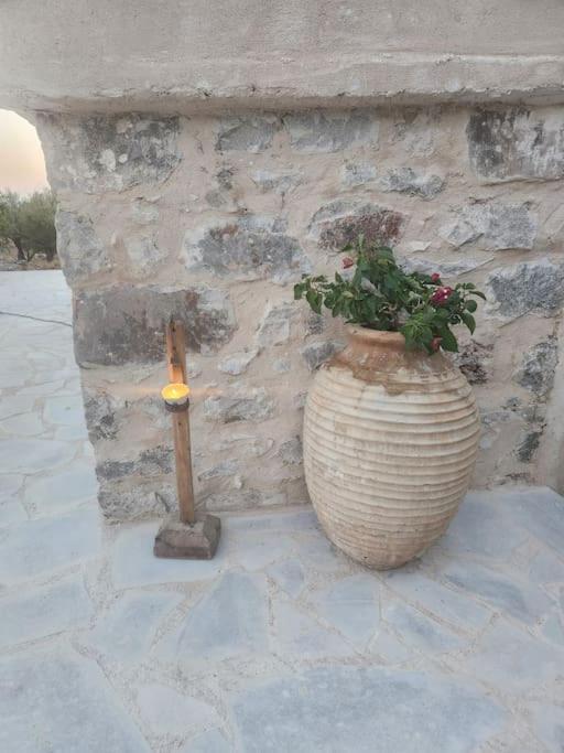 אראופוליס Terra E Pietre Εξοχική Κατοικία Με Πισίνα מראה חיצוני תמונה