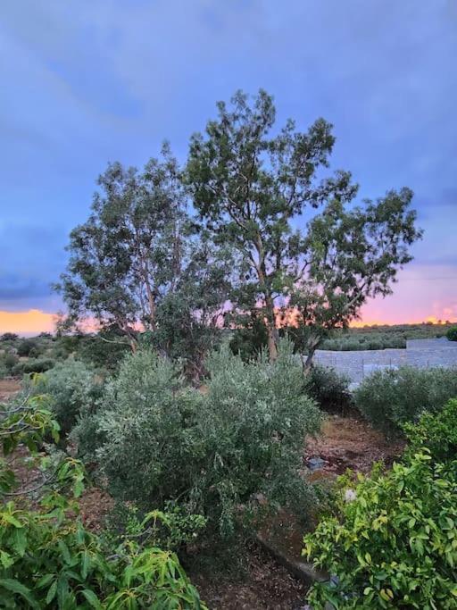 אראופוליס Terra E Pietre Εξοχική Κατοικία Με Πισίνα מראה חיצוני תמונה