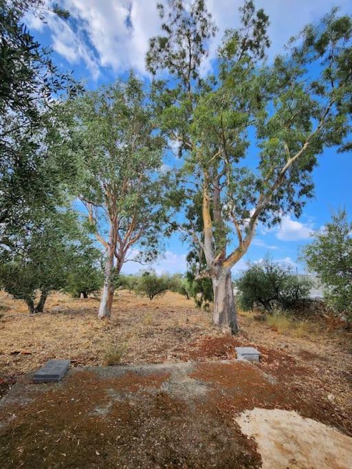אראופוליס Terra E Pietre Εξοχική Κατοικία Με Πισίνα מראה חיצוני תמונה