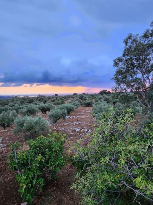 אראופוליס Terra E Pietre Εξοχική Κατοικία Με Πισίνα מראה חיצוני תמונה
