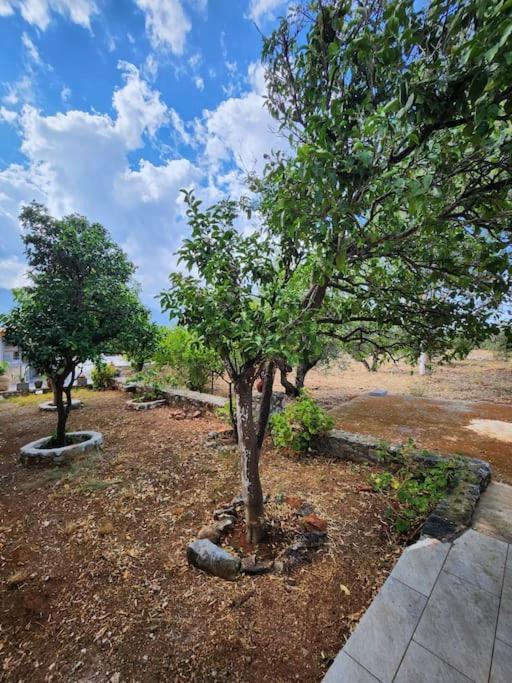 אראופוליס Terra E Pietre Εξοχική Κατοικία Με Πισίνα מראה חיצוני תמונה