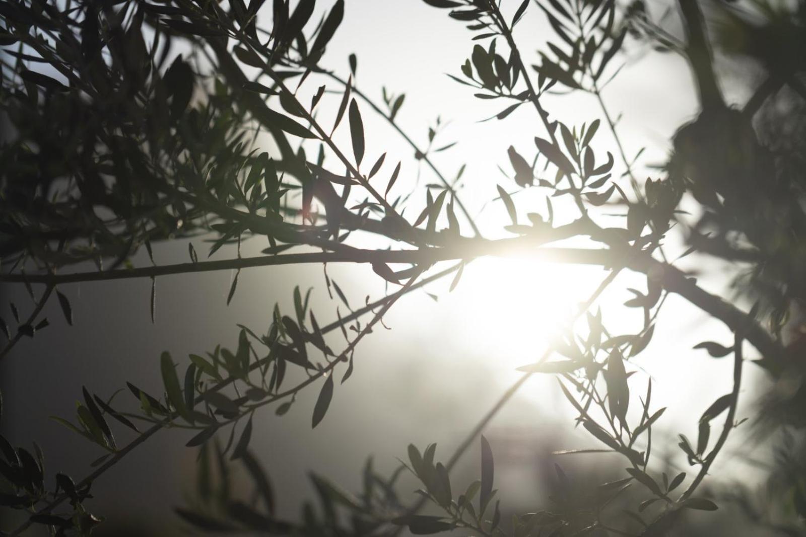 אראופוליס Terra E Pietre Εξοχική Κατοικία Με Πισίνα מראה חיצוני תמונה