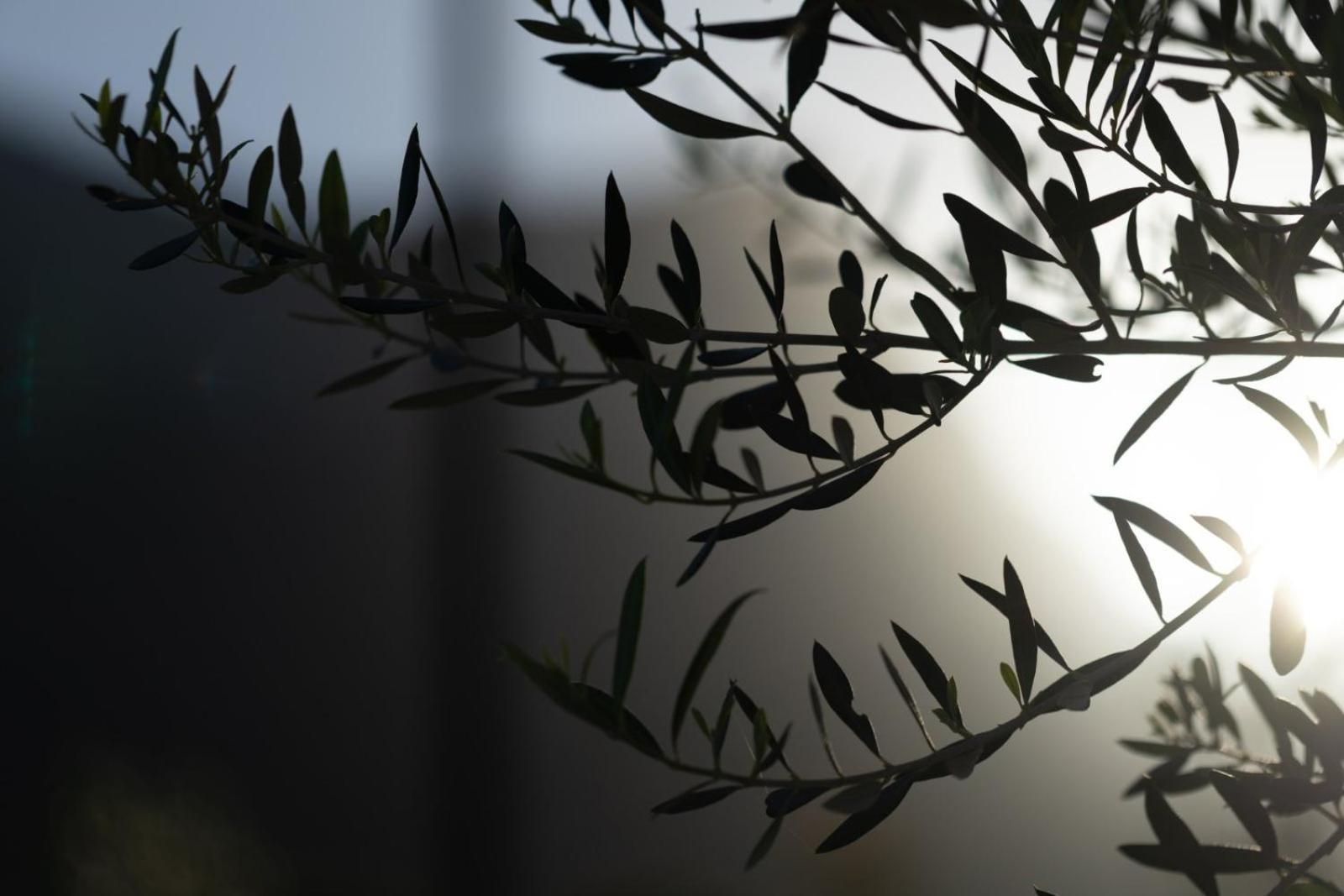אראופוליס Terra E Pietre Εξοχική Κατοικία Με Πισίνα מראה חיצוני תמונה